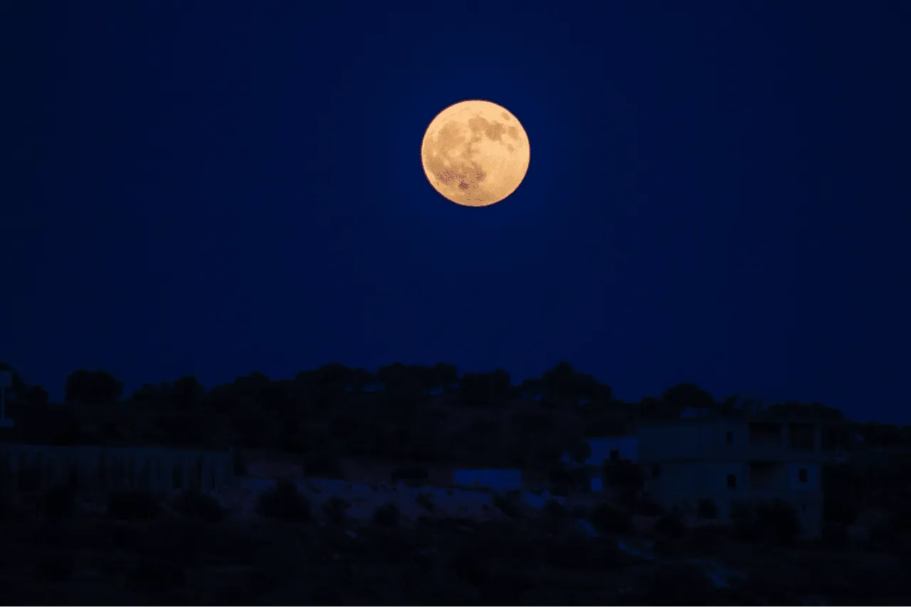 Scopri di più sull'articolo Dieta Lunare