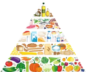Scopri di più sull'articolo Educazione Alimentare: Cosa vuol dire?
